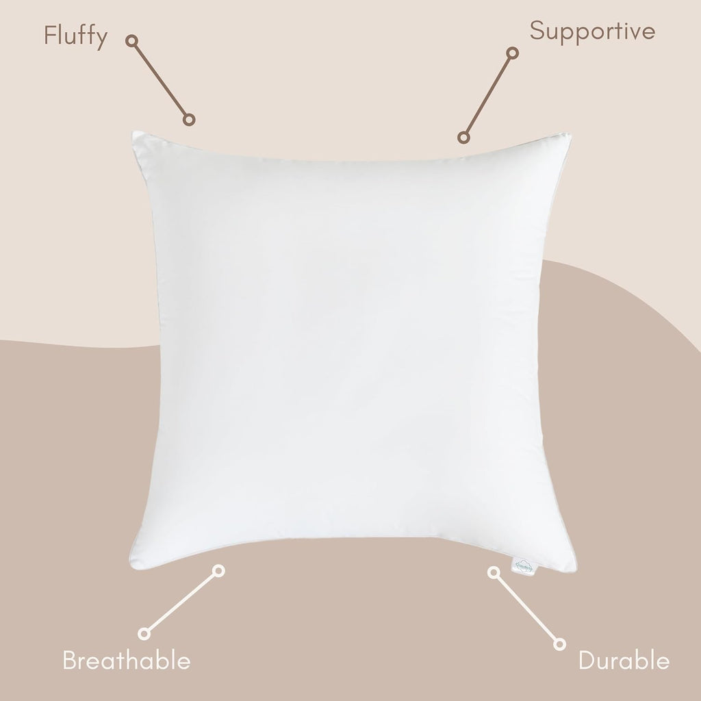 Down Alternative Throw Pillow Insert (20"x20"), Decorative Pillow for Sofa, Couch, Bed, Chair Cushion - Set of 2