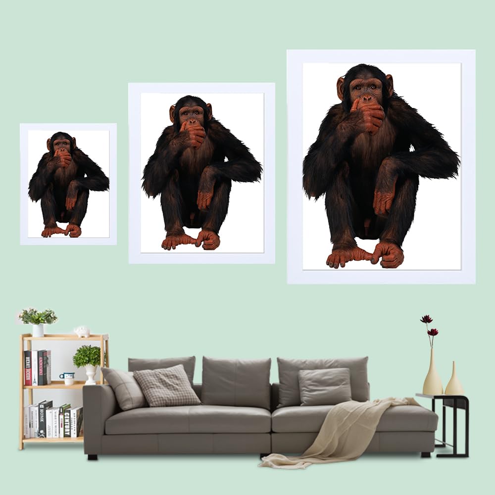 12x15 Picture Frame in White, Photo Frames with Plexiglass, Horizontal and Vertical Formats for Wall Mounting Wall