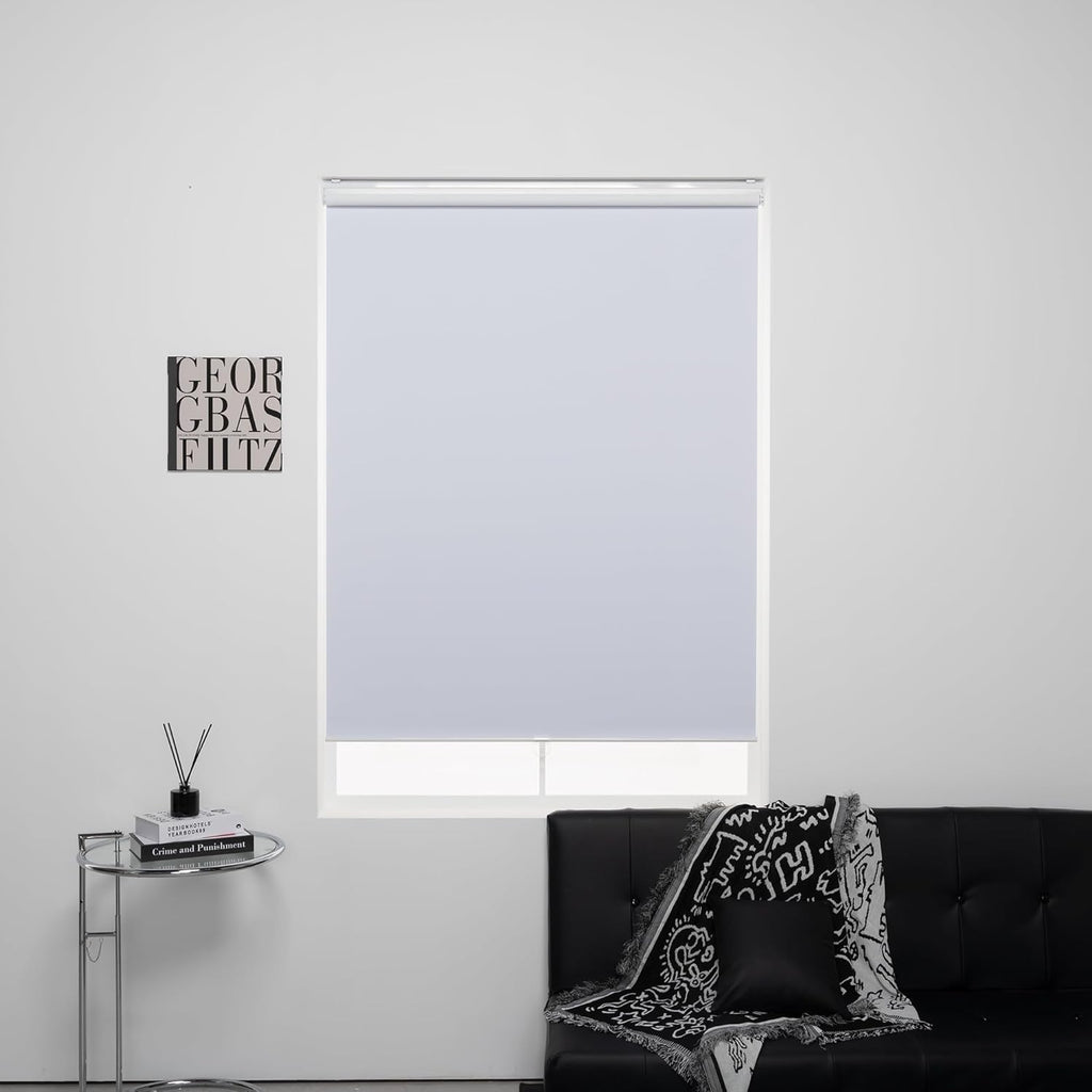 Roller Shades Cordless 100% Blackout Blinds for Windows and Doors, Pull Down Room Darkening Window Shades, Easy to