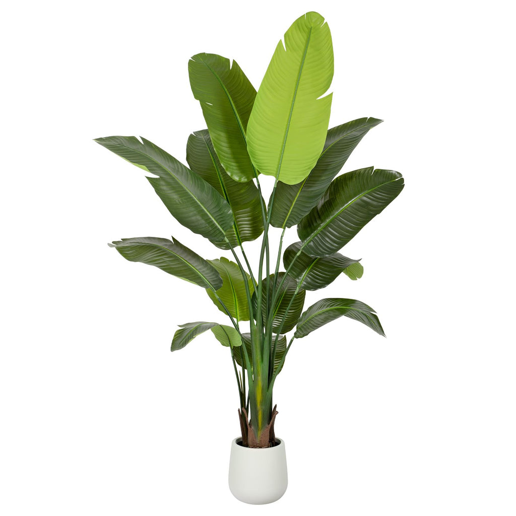 6FT Artificial Bird of Paradise Plant Tall, 71"Fake Tropical Tree with 13 Banana Leaves and White Pot, Large Faux Silk