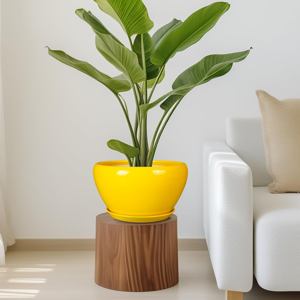 Indoor Planter 11 Inch - Decorative Mid-Century Large Ceramic Plant Pot for Outdoor Plants with Drainage Hole and