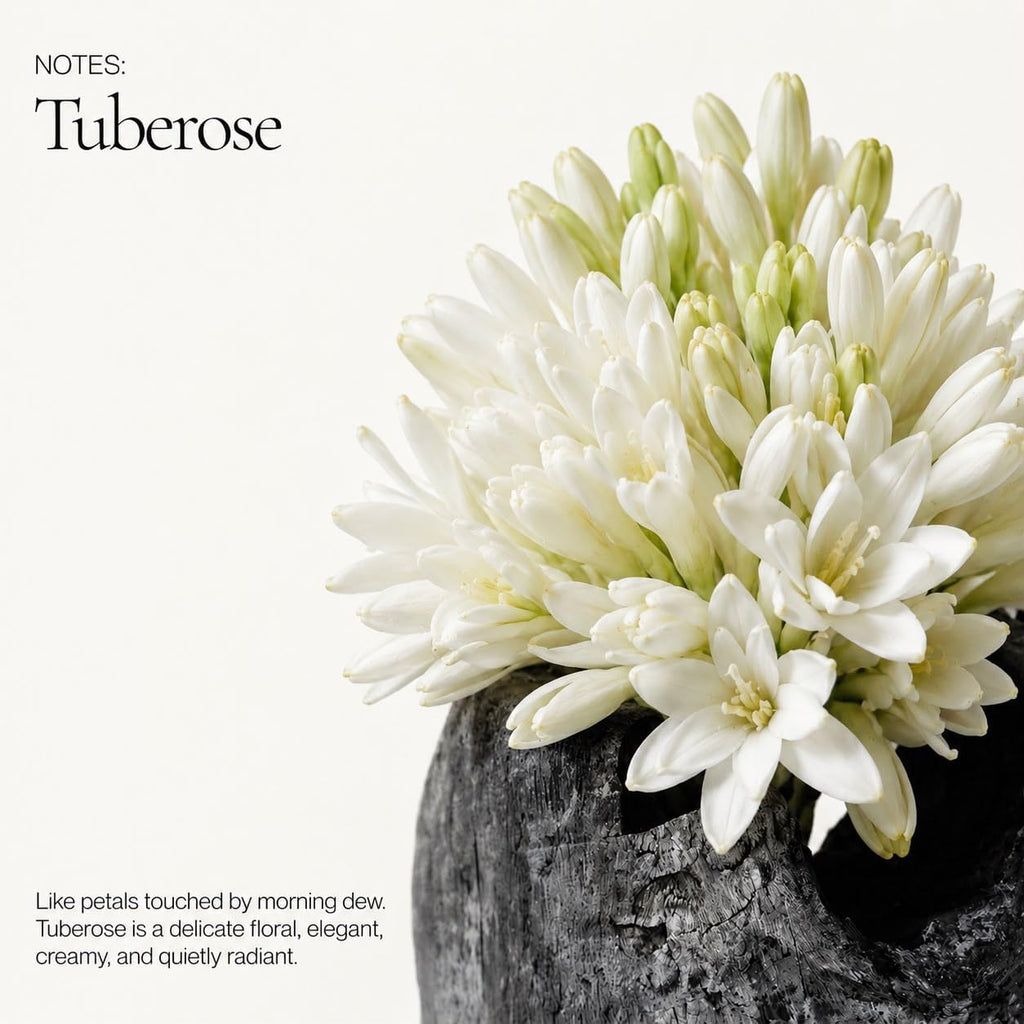 Tuberose Luxury Scented Candle 8oz | Soft Floral Aroma for Daily Relaxation | Hand-Poured Soy Wax Blend | 40hr Clean - Set of 8