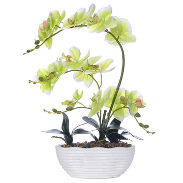 Large Silk Orchid in Wave Pot 19" Phalaenopsis Plant for Table, Apple Green