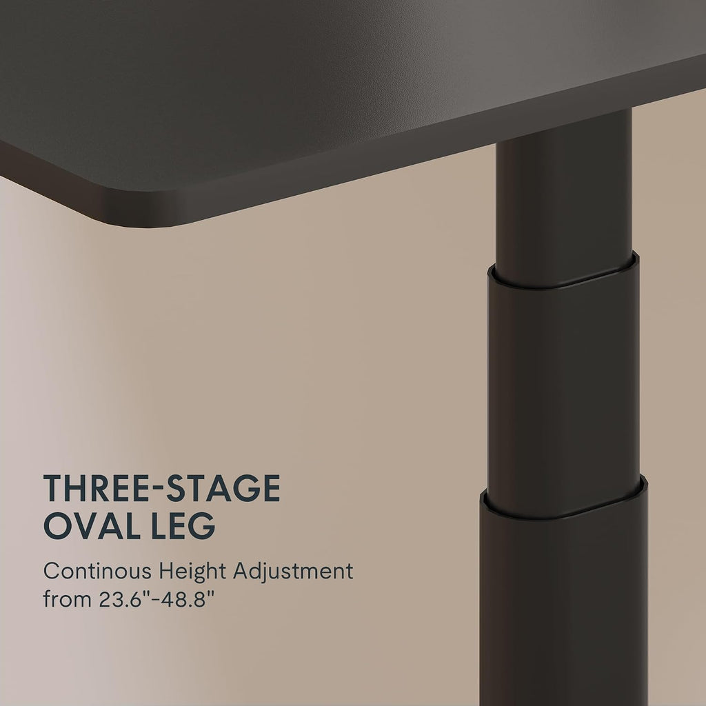 E6 Pro 55" x 28" Dual Motor Electric Standing Desk, Organic Modern Oval Leg Design, 3-Stage Height Adjustable Sit