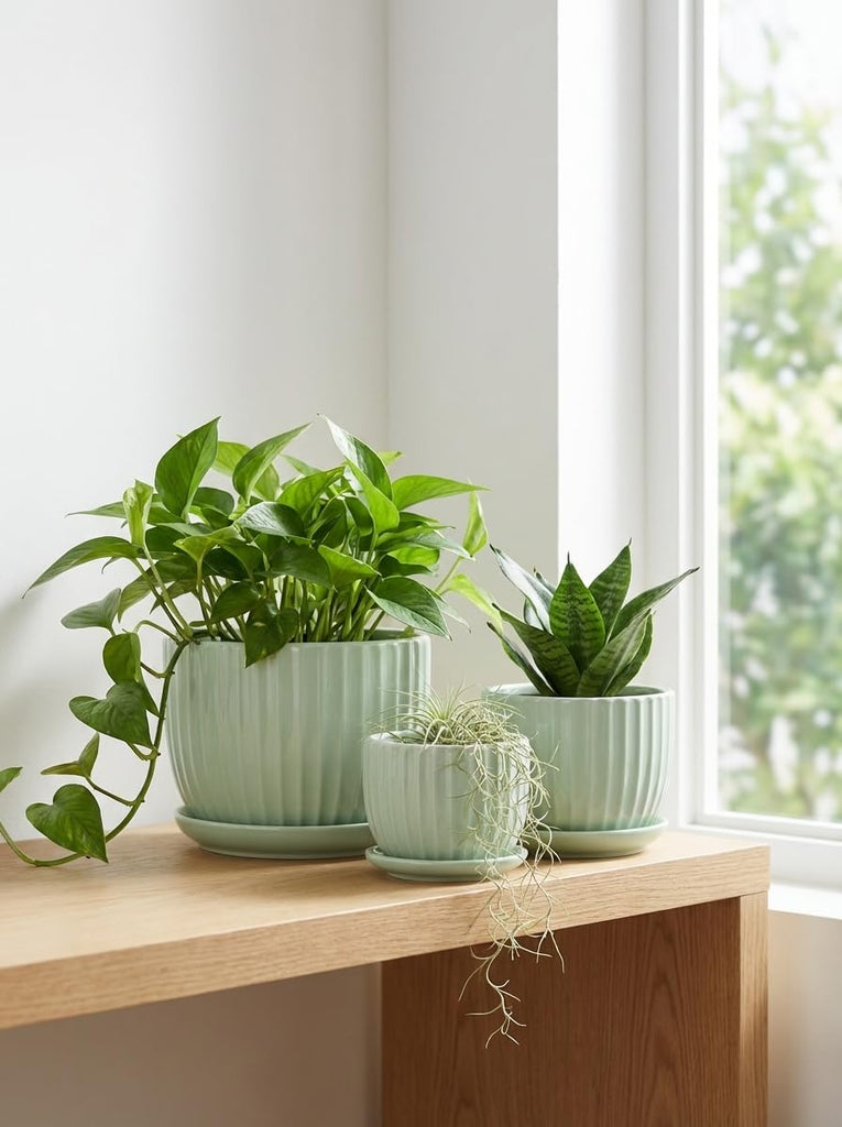 Flower Pots, Ceramic Plant Pots with Drainage Holes Set of 3(Light Green)