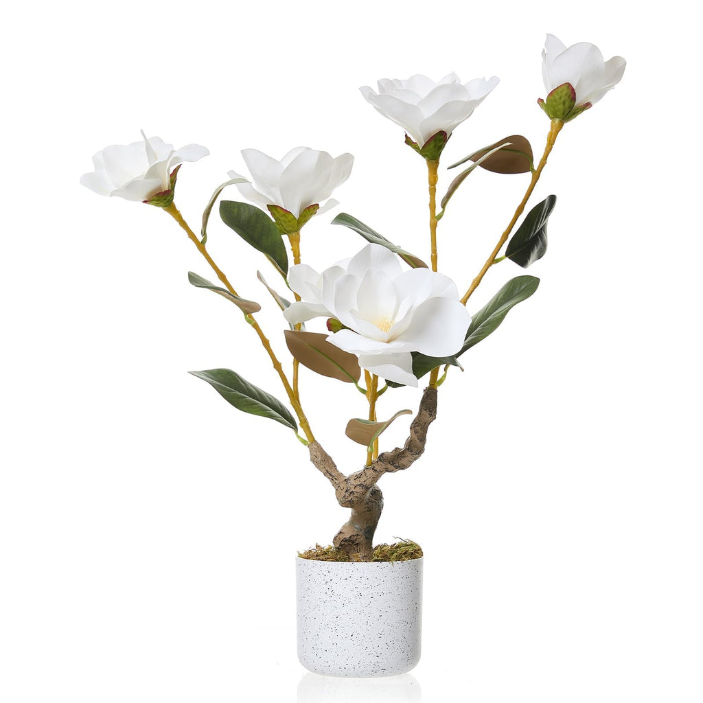 24" Artificial Magnolia Tree in White Planter, Realistic Magnolia Grandiflora with 6 Lifelike Flowers, Fake Potted