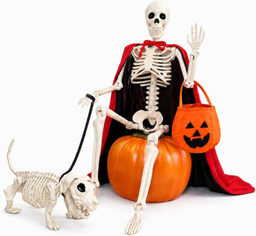 36'' Halloween Skeleton Decoration with Skeleton Dog, Cape and Pumpkin Bag
