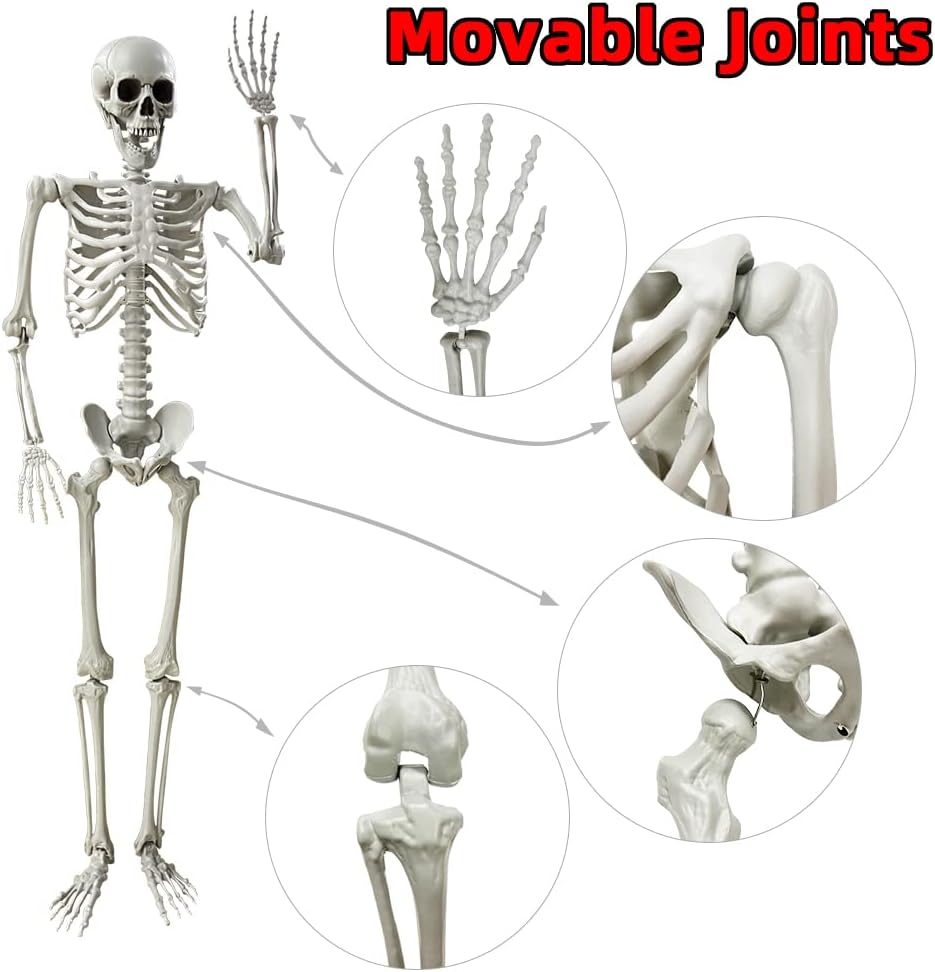 5.4Ft/165cm Halloween Skeleton Full Body Life Size Human Bones with Movable Joints Outdoor Halloween Props Decorations