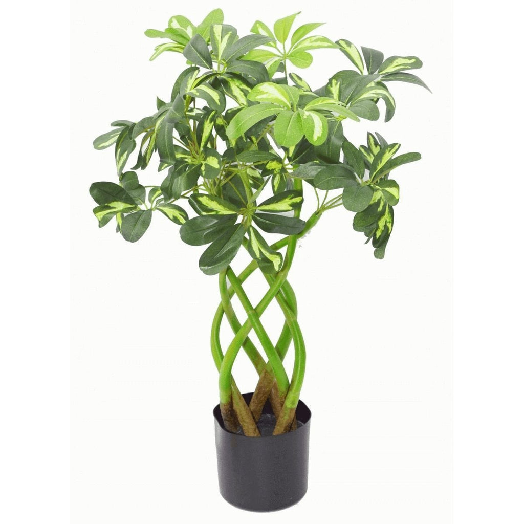 Artificial Schefflera Arboricola Foliage Plant (Umbrella Tree), Mixed Materials, Bonsai Twist, 70cm