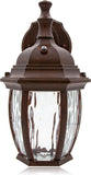 LED Outdoor Wall Light - Features Clear Water Glass, 3000K Warm White, 580 Lumens, Dusk to Dawn Photocell Light Sensor