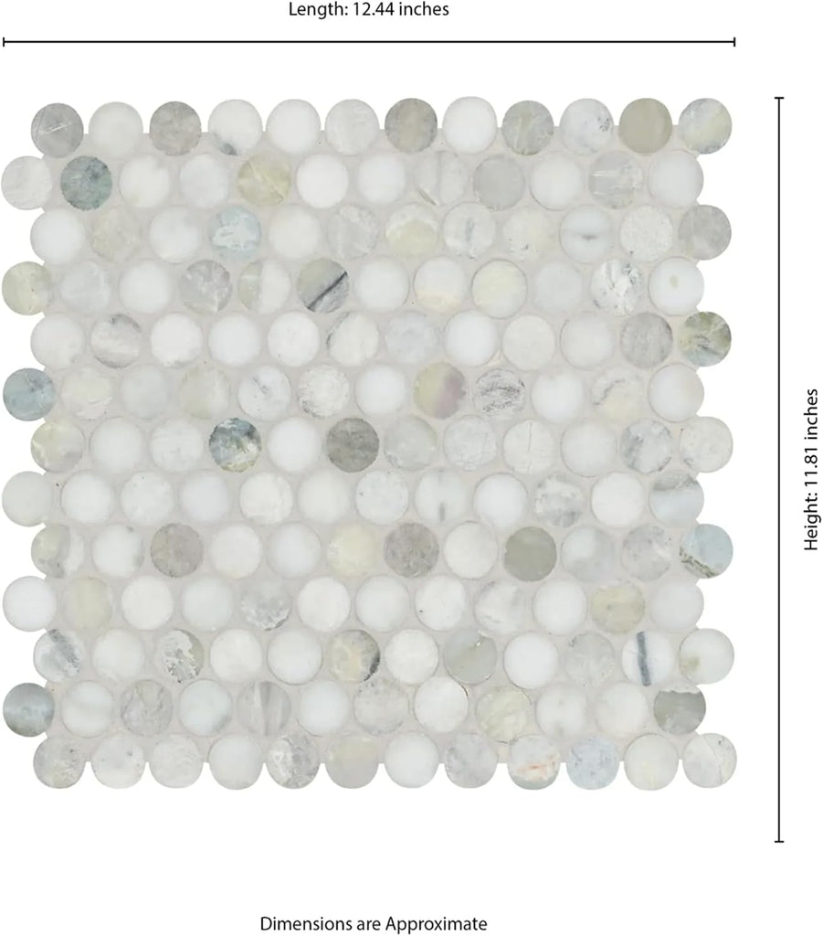 HTC359 Alpine Sheen Polished Marble Penny Round Mosaic Tile Wall, Shower Floor, Kitchen Backsplash, Accent Decor (Box