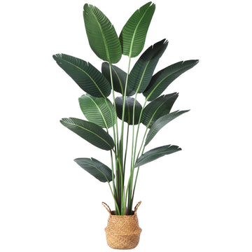 6ft Bird of Paradise Artificial Plant with Basket