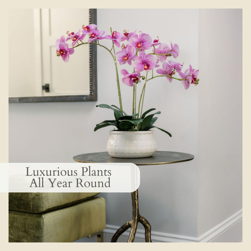 Faux Orange Orchid Plant, 23 in, White, Home Decor