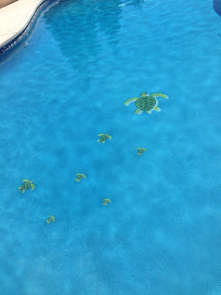 Group Ceramic Swimming Pool Mosaic (Green)