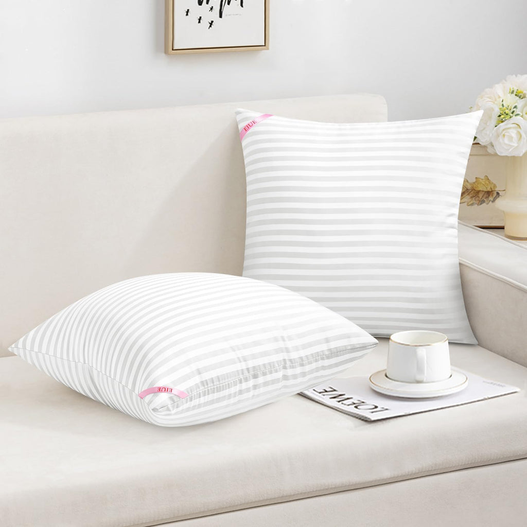 Throw Pillow Inserts, Machine Washable Pillows,Premium Polyester Fiber Fill for Sofa Bed & Decorative Cushions - Set of 2