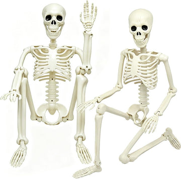 3ft Posable Plastic Halloween Skeleton-36" Skeleton Halloween Decor - Set of 2