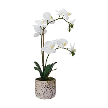 Artificial Orchid in Pot, Real Touch Phalaenopsis Orchid, Faux Aged Cement Pot, 22-Inch Double Branch, White/Yellow