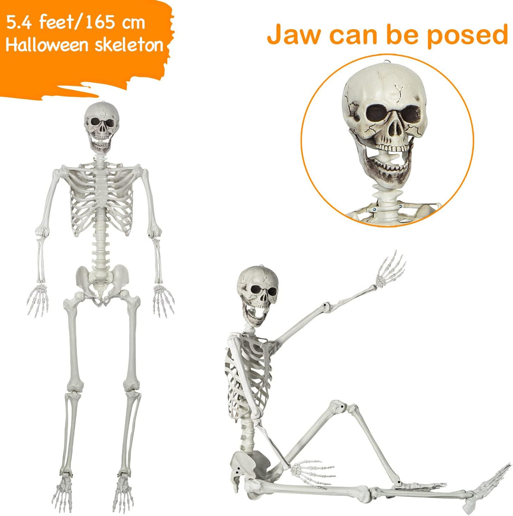 5.4ft Posable Halloween Skeleton - Full Body Life Size Skeleton Bones with Movable Joints for Halloween