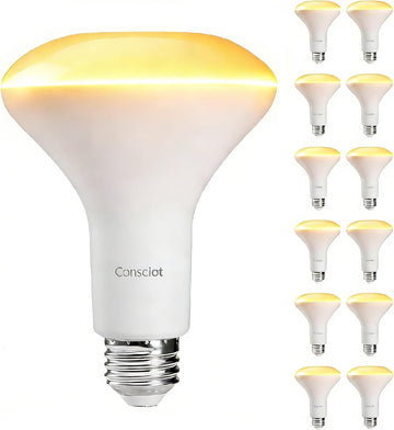 BR30 LED Bulb Dimmable, 10W Equivalent 65W, 850lm, 2700K, 12 Pack