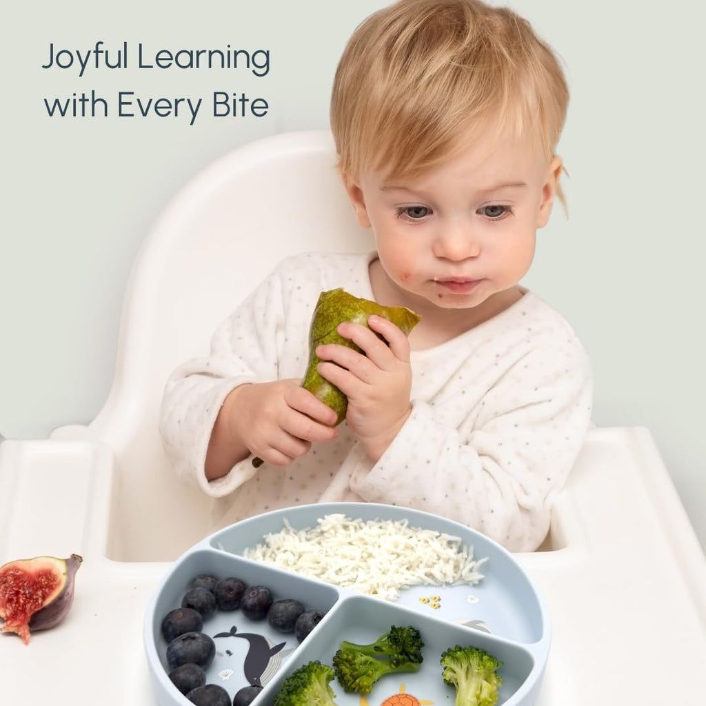 Suction Plates with Dividers - Grip Plates for Babies 6-12 Months and Toddlers 1-3, Toddler and Baby Dishes, Baby Led