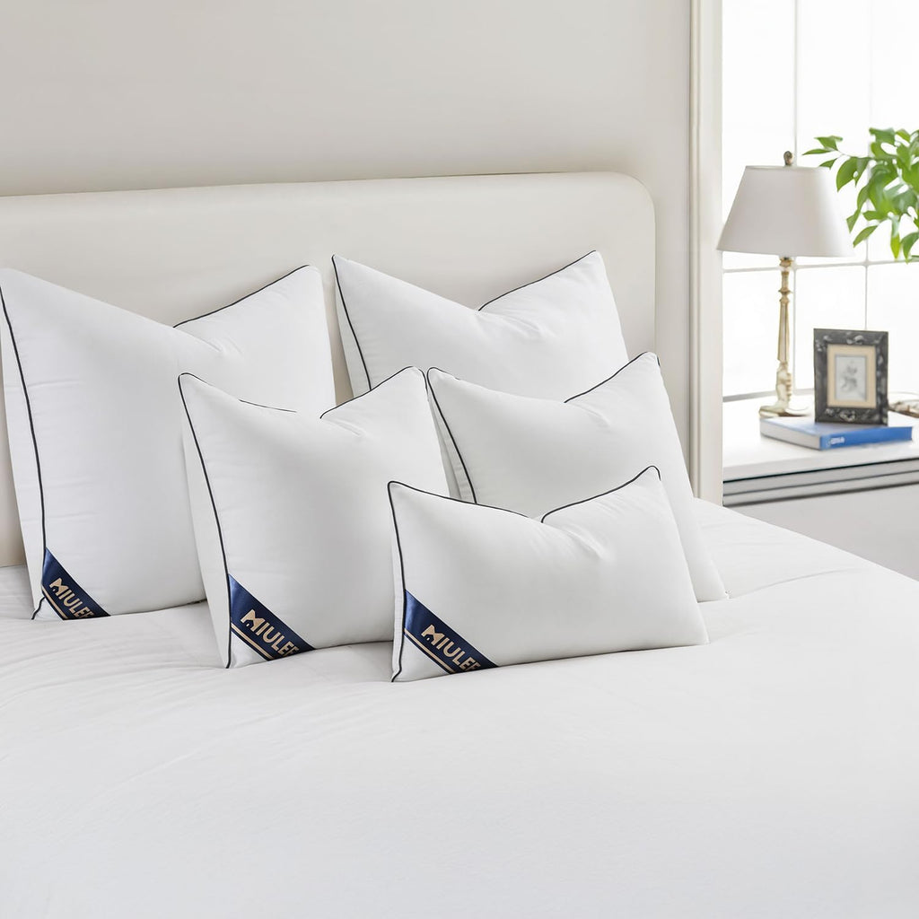20x20 Pillow Inserts 2 Pack, Premium Down Alternative Throw Pillows - Set of 2