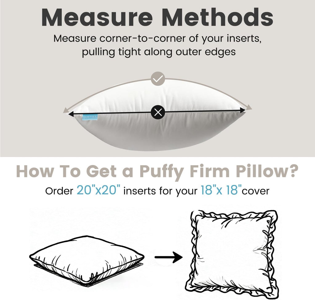 20x20 Pillow Inserts, 2 Pack Down Alternative Throw Pillow Inserts - Set of 2