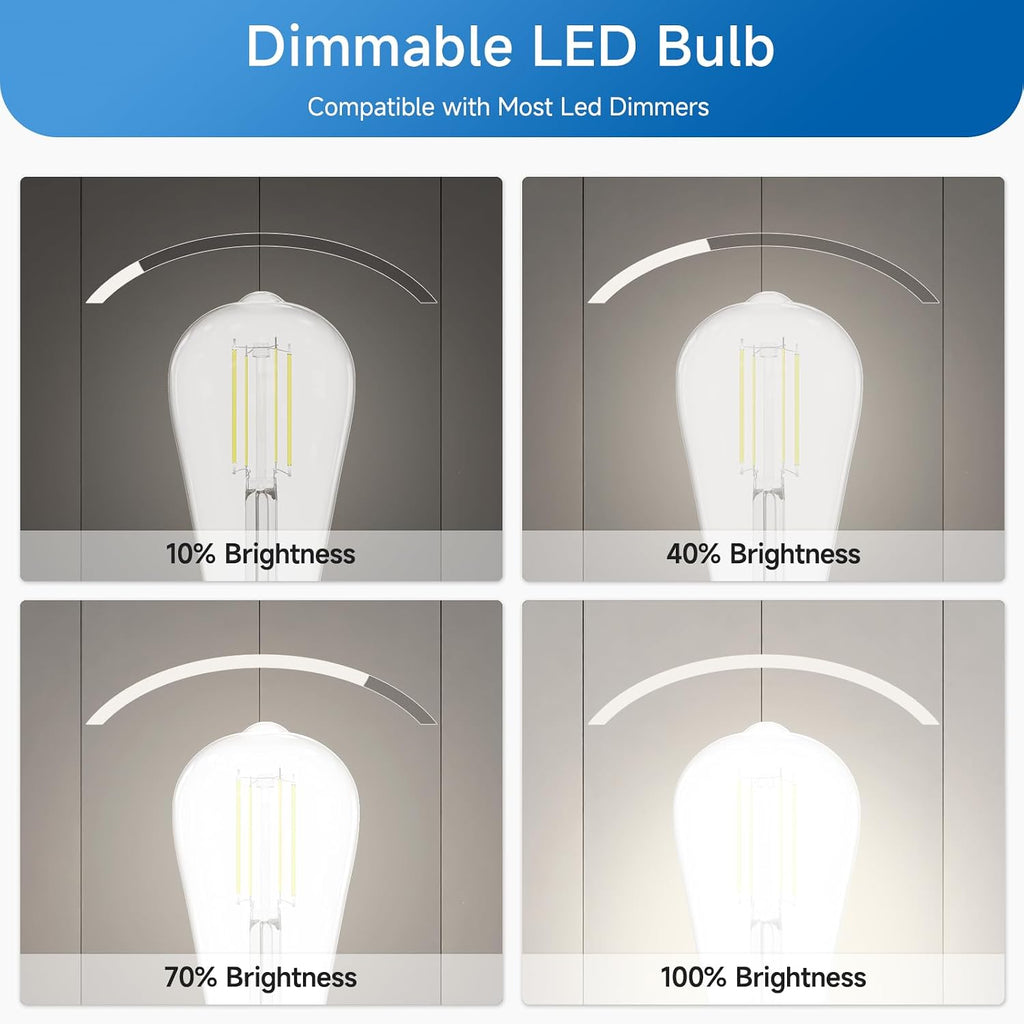 Dimmable Edison Bulbs, 6W, Equivalent 60W, Bright Daylight White 4000K, Vintage ST58 Antique LED Filament Bulbs, E26