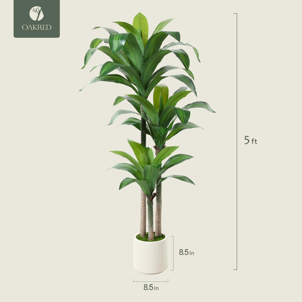 Artificial Dracaena Tree 5ft, Tall Fake Dracaena Plants with White Planter, Faux Dragon Tree Indoor Floor Plant Decor