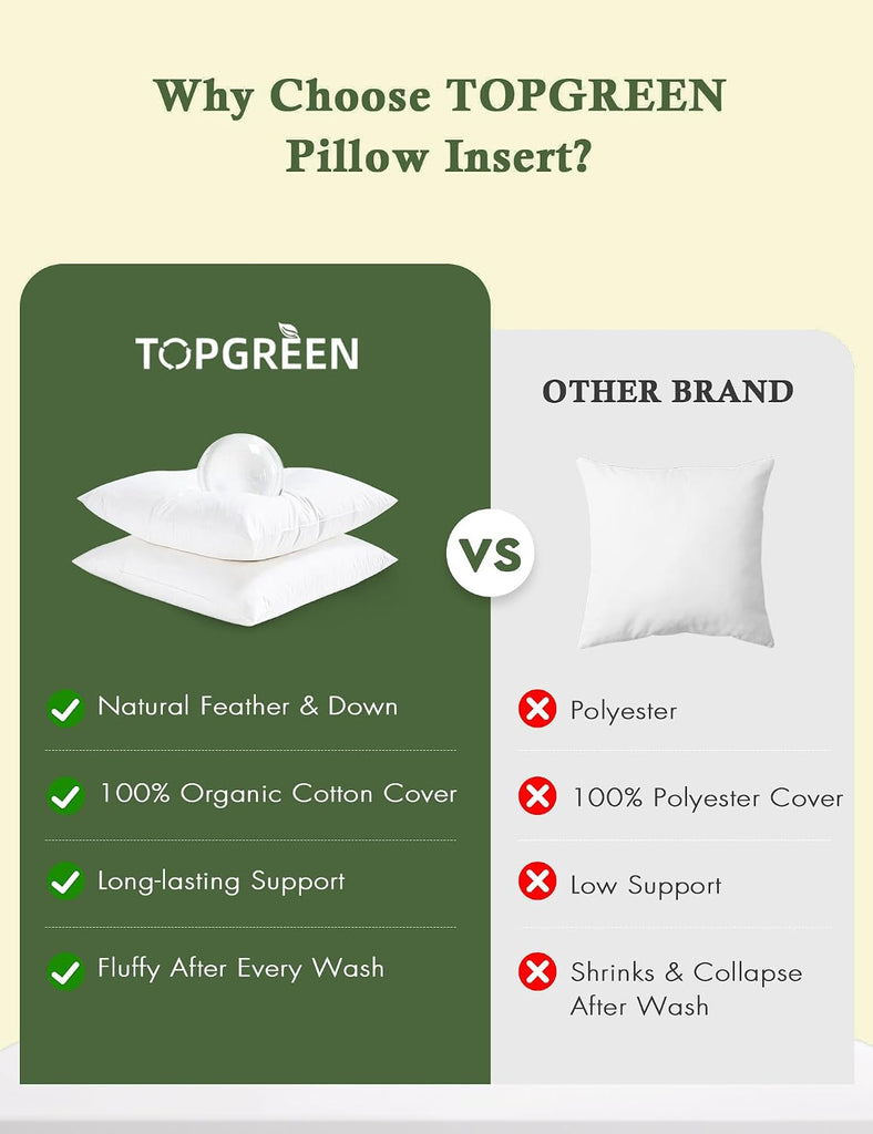 Organic Feathers Down Outdoor Pillow Insert 22x22 - Set of 2