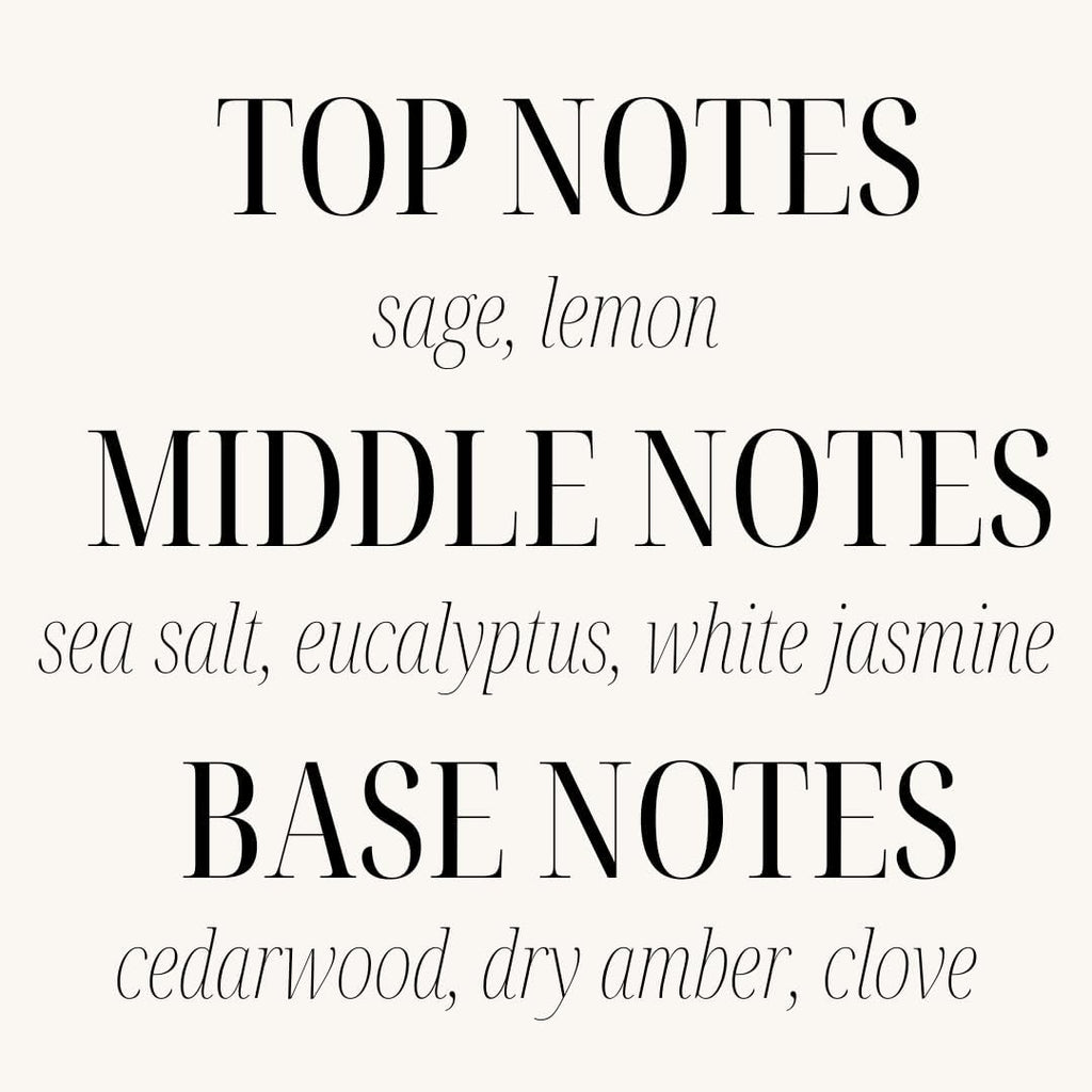 Scented Candle - Sage & Sea Salt - Additional Scents and Sizes - 100% Cotton Lead-Free Wick - Luxury Air Freshening - Set of 12