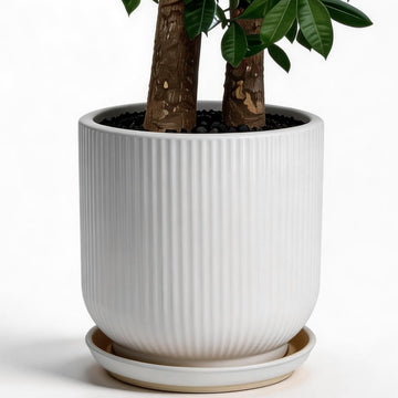 12 Inch Ceramic Pots for Plants, Heavy Plant Pot for Indoor Outdoor Plants, Large Plant Pot with Drainage Hole and