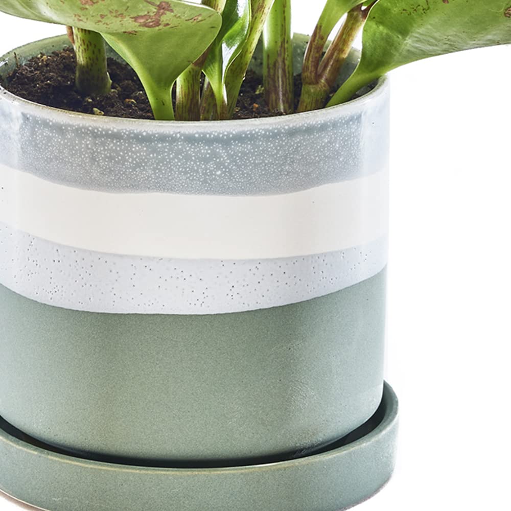 Minute' Ceramic Planter Pot - Cute 5" Colorful Succulent Pots for Indoor & Outdoor House Plants - Beautiful Modern