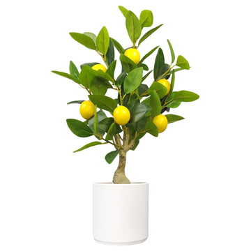 Artificial Lemon Tree 20.5 Inches Tall, Fake Potted Citrus Plant