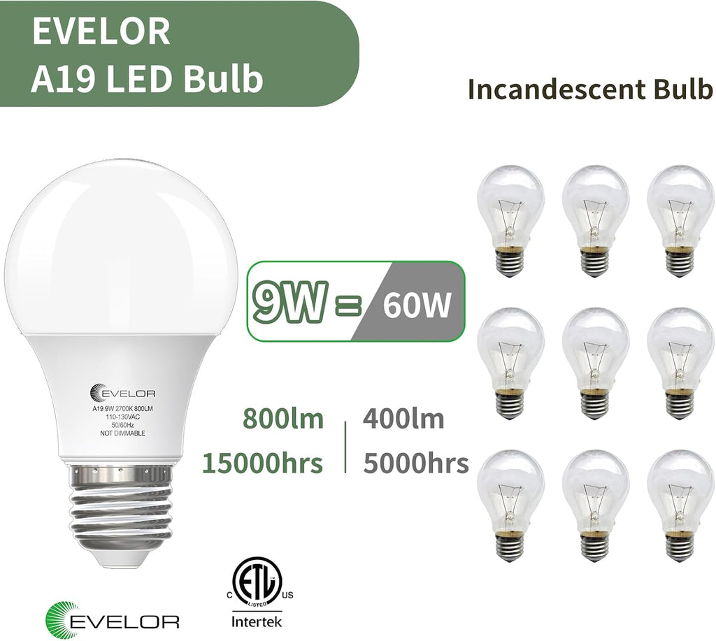 A19 LED Light Bulbs,60 Watt Equivalent,Soft Warm White 2700K