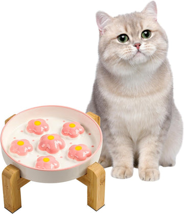 Elevated Ceramic Slow Feeder Cat Bowl with Anti-Slip Bamboo Stand