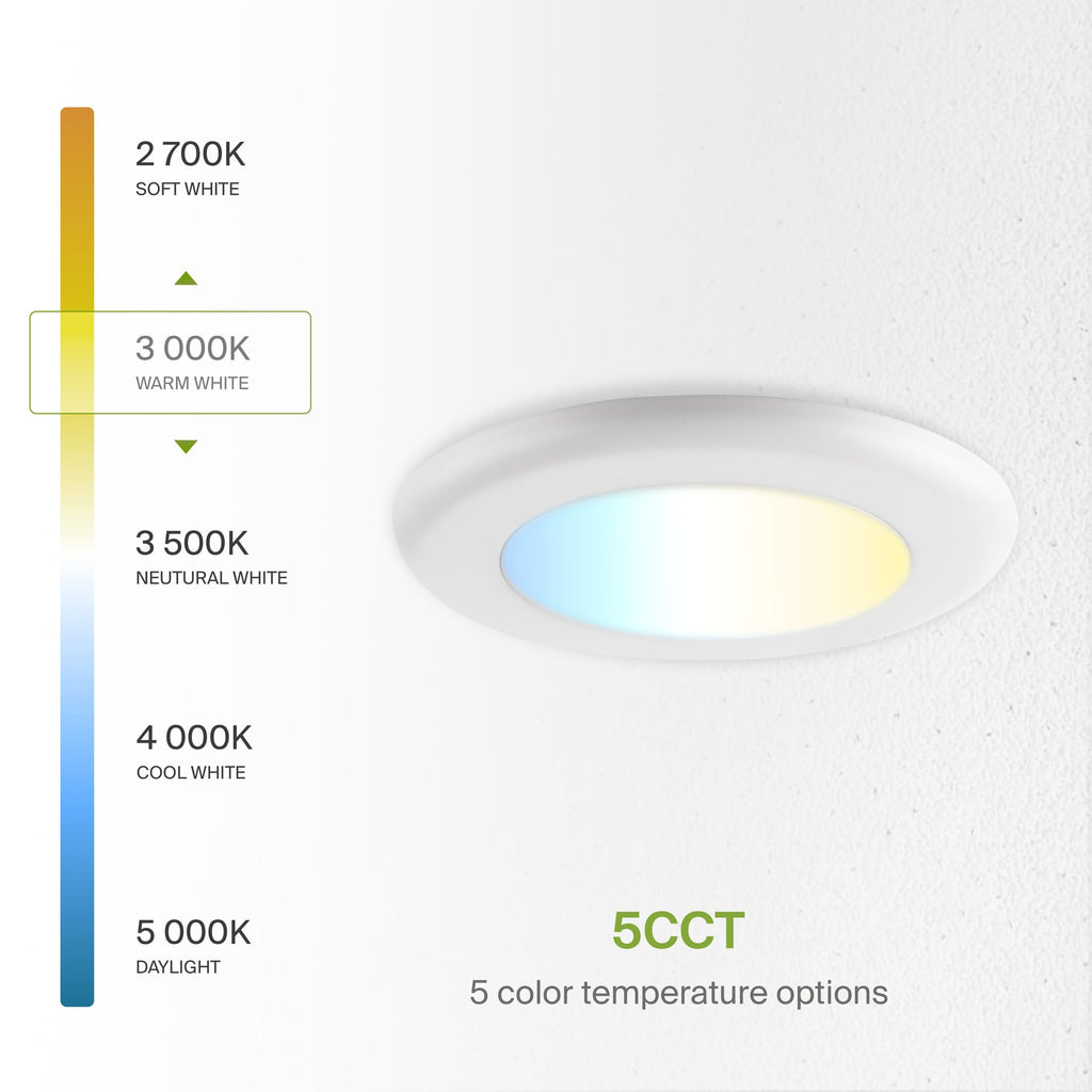 12 Pack LED Disk Lights 4 Inch, 5CCT Flush Mount Ceiling Light Fixture