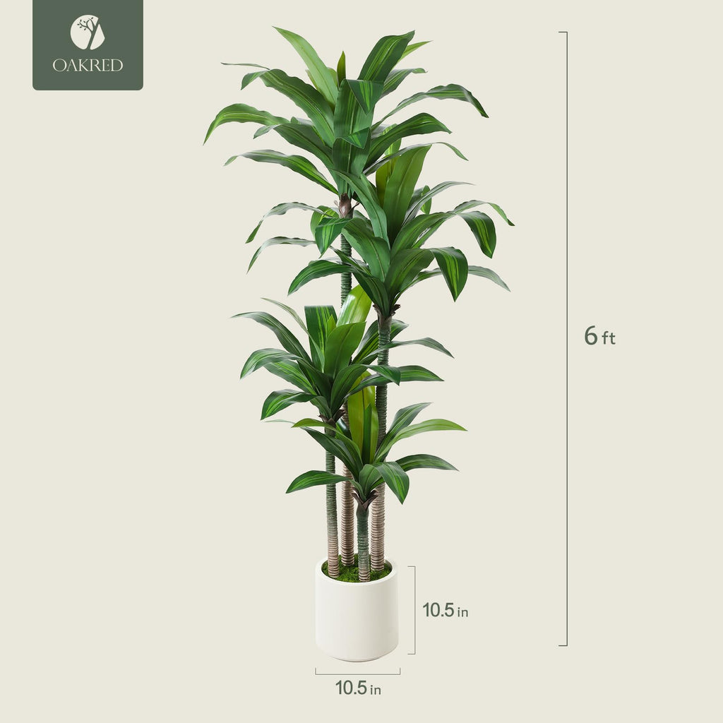Artificial Dracaena Tree 6ft, Tall Fake Dracaena Plants with White Planter, Faux Dragon Tree Indoor Floor Plant Decor