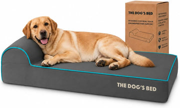 The Dog's Bed Orthopedic Memory Foam Dog Bed with Headrest Large 6-Inch