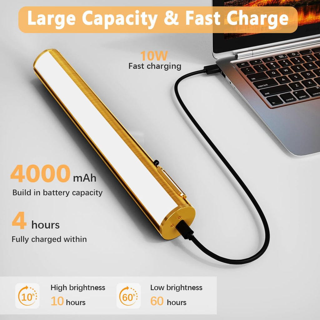 Wireless Rechargeable Picture Light, Battery Operated Art Light