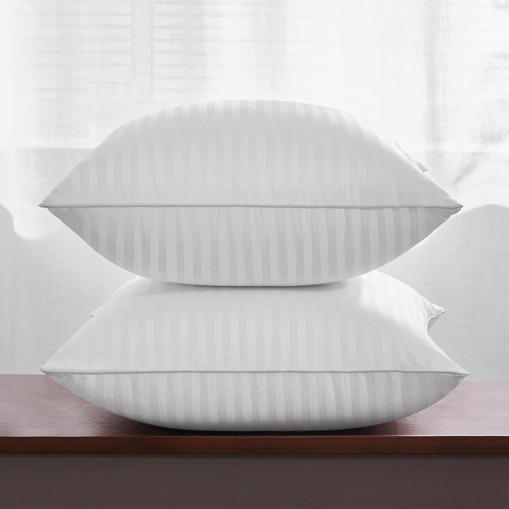 18 x 18 Throw Pillow Inserts - Set of 2