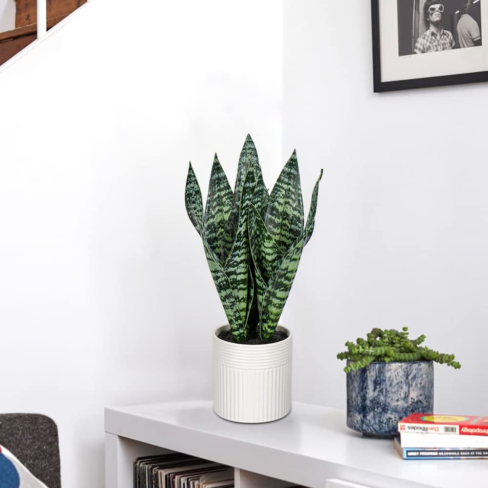 14'' Fake Snake Plant Home Decor Real Touch Faux Sansevieria Plant in White Ceramic Pot Artificial Snake Plant with