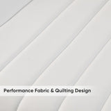 Nalupatio Modern Dining Chairs Set of 2, Comfy Dining Room Chairs with Thick Cushions