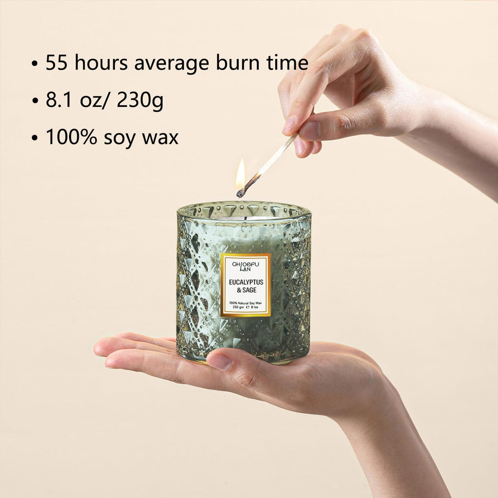 Eucalyptus & Sage Scented Candles Luxury Candle with up to 55 Hour Long Lasting, Highly Scented, 100% Soy Wax, 8.1oz