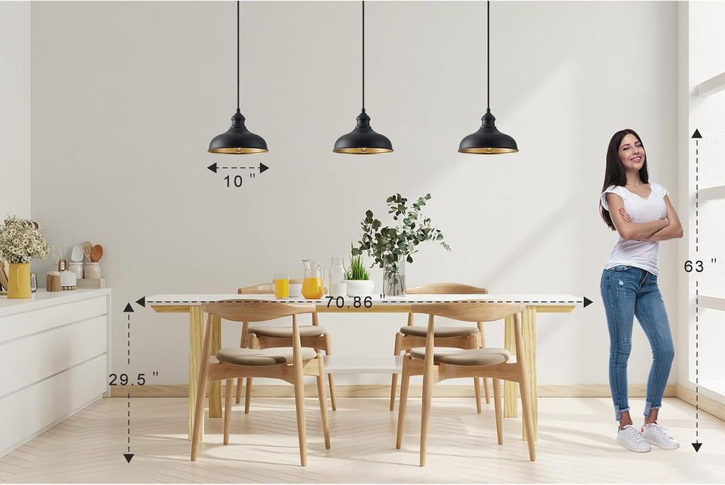 10in Dome Outdoor Pendant Barn Lights Black Kitchen Island Pendant Lamp with Brass Interior