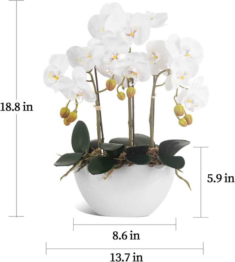 Artificial Orchid Flowers Potted in Ceramic Pot, White Faux Phalaenopsis Orchids for Table Centerpiece, Realistic