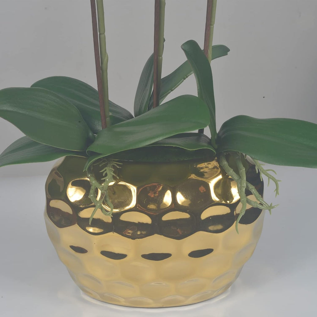 Artificial Orchid Plants & Flowers Arrangement in Ceramic Pot, Fake Faux White Orchid with Gold Vase, Realistic