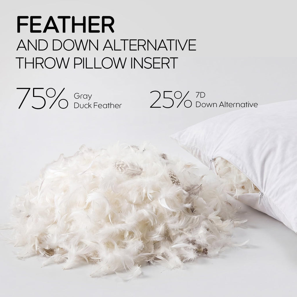 Feather Throw Pillow Inserts, Soft Fluffy Square 22 x 22 Inches Decorative Pillow Insert, Feather and Down - Set of 4