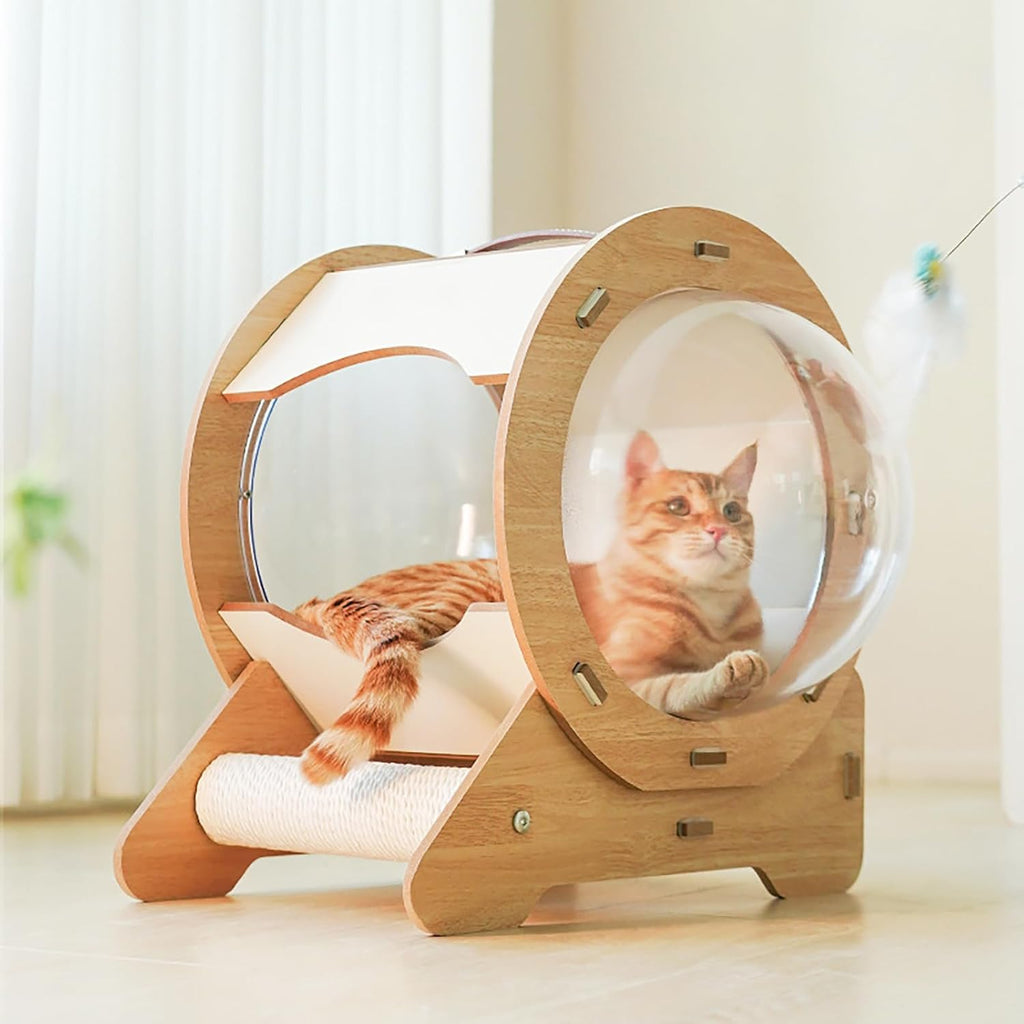 Clear Capsule Cat Bed, 22 lbs Load Freestand Modern Spaceship Space Capsule Scratching Post W/Cushion Transparent