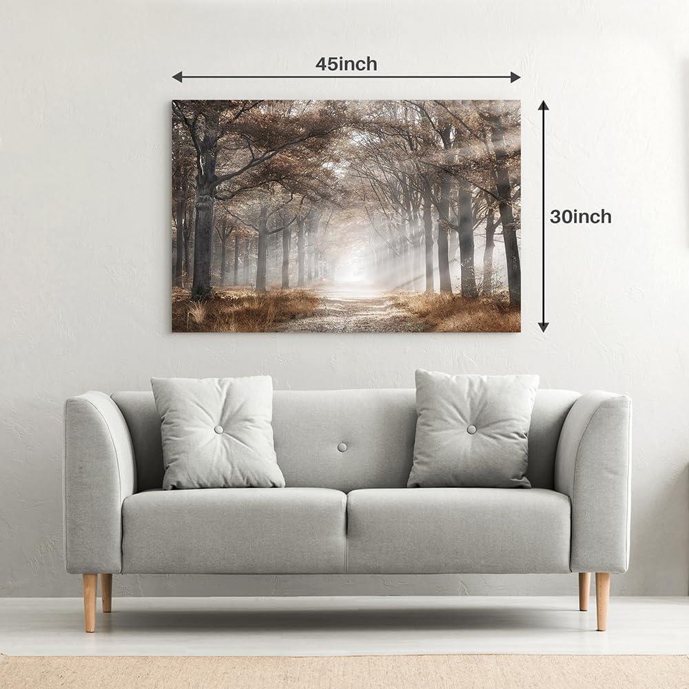 Autumn Forest Picture Wall Art: Large Tree Canvas Prints Morning Sunshine Painting Nature Orange Fall Landscape