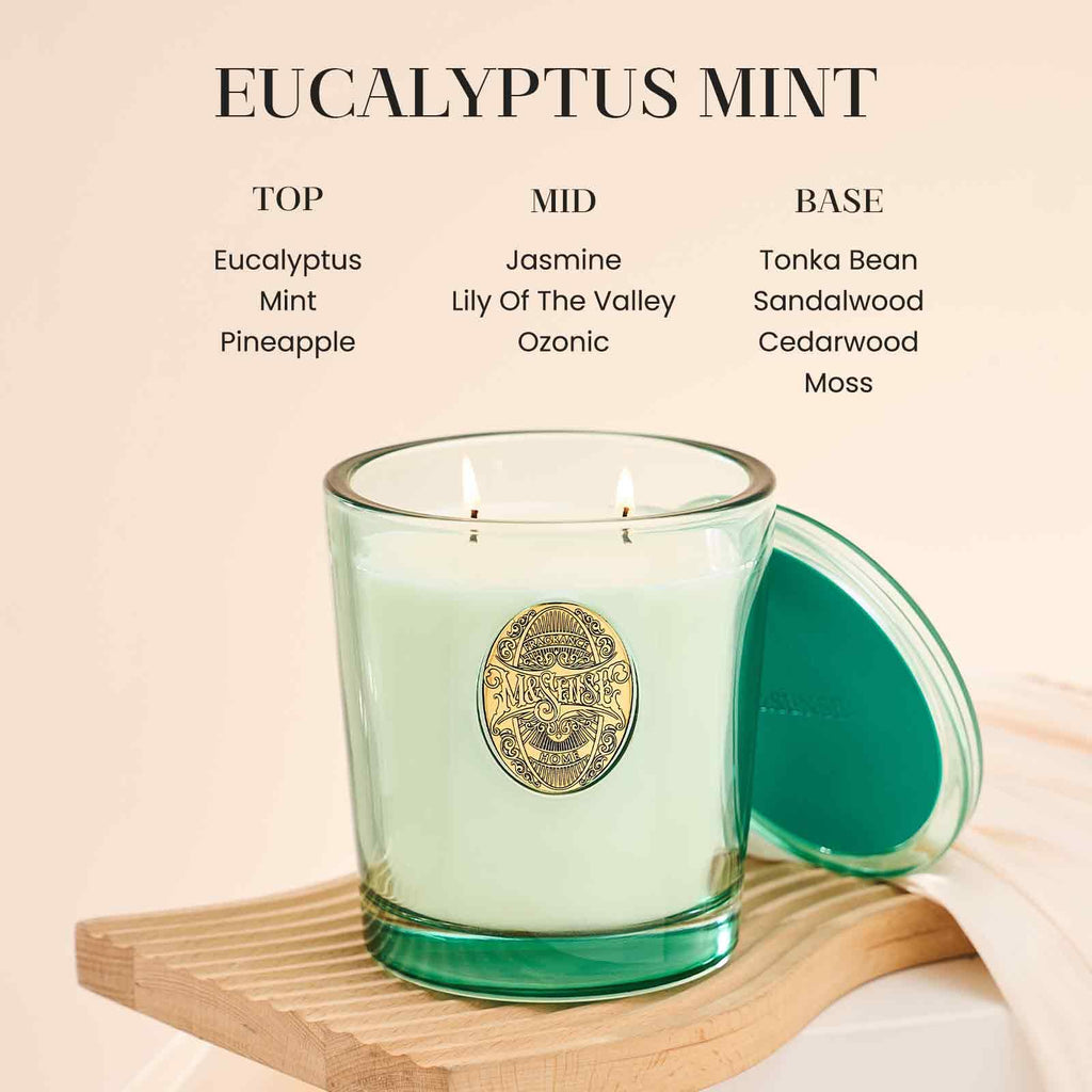 Two-Wick Eucalyptus Mint Candle for Relaxation | 120-Hour Burn Aromatherapy Soy Candle | Calming Stress Relief & Home